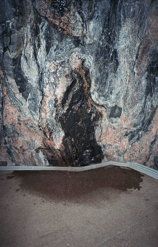 Photography by Samuel Horn